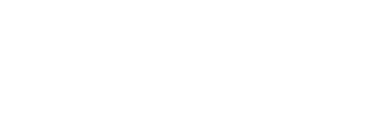 BUSINNES CLASS Logo